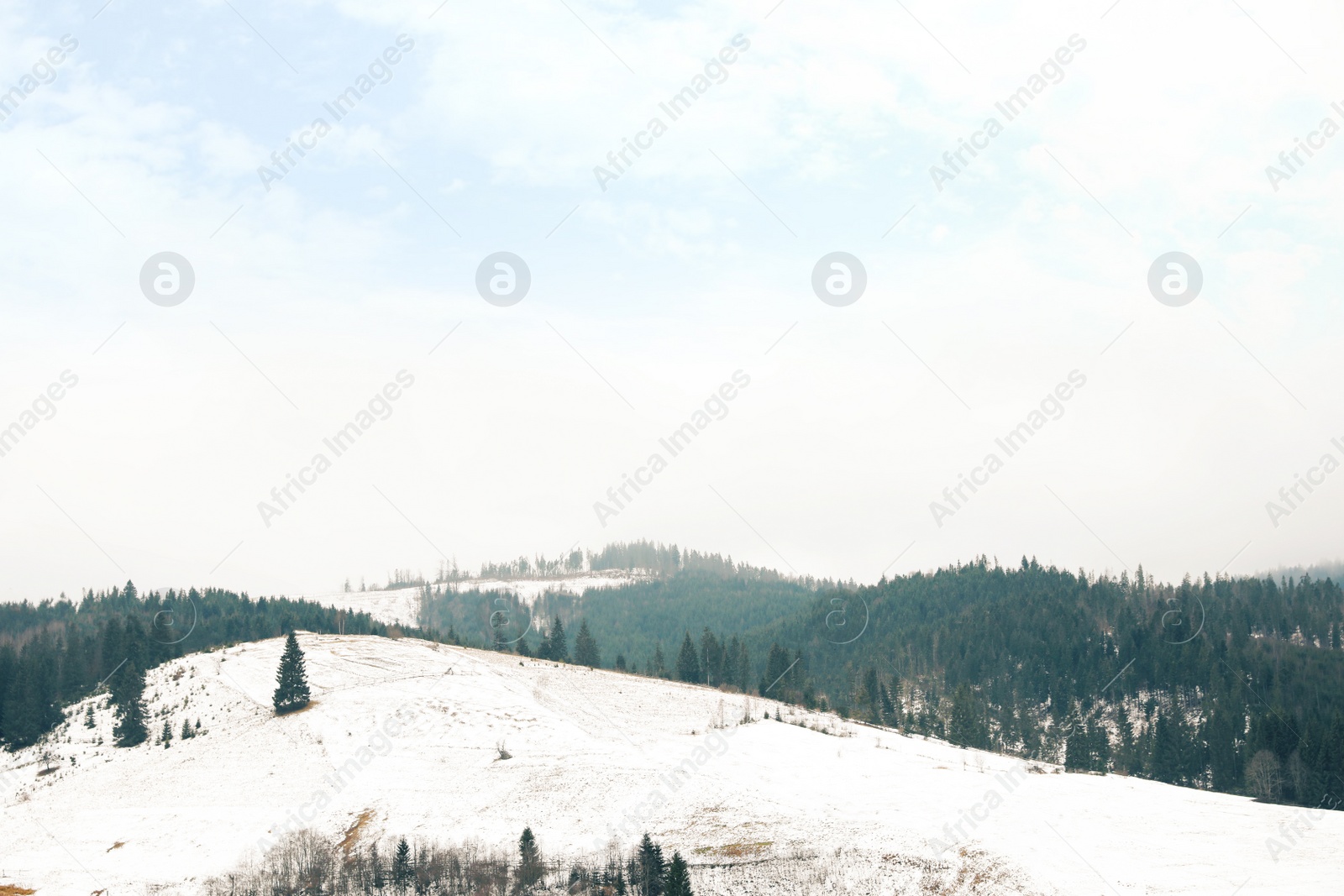 Photo of Beautiful winter landscape with forest on snowy hills