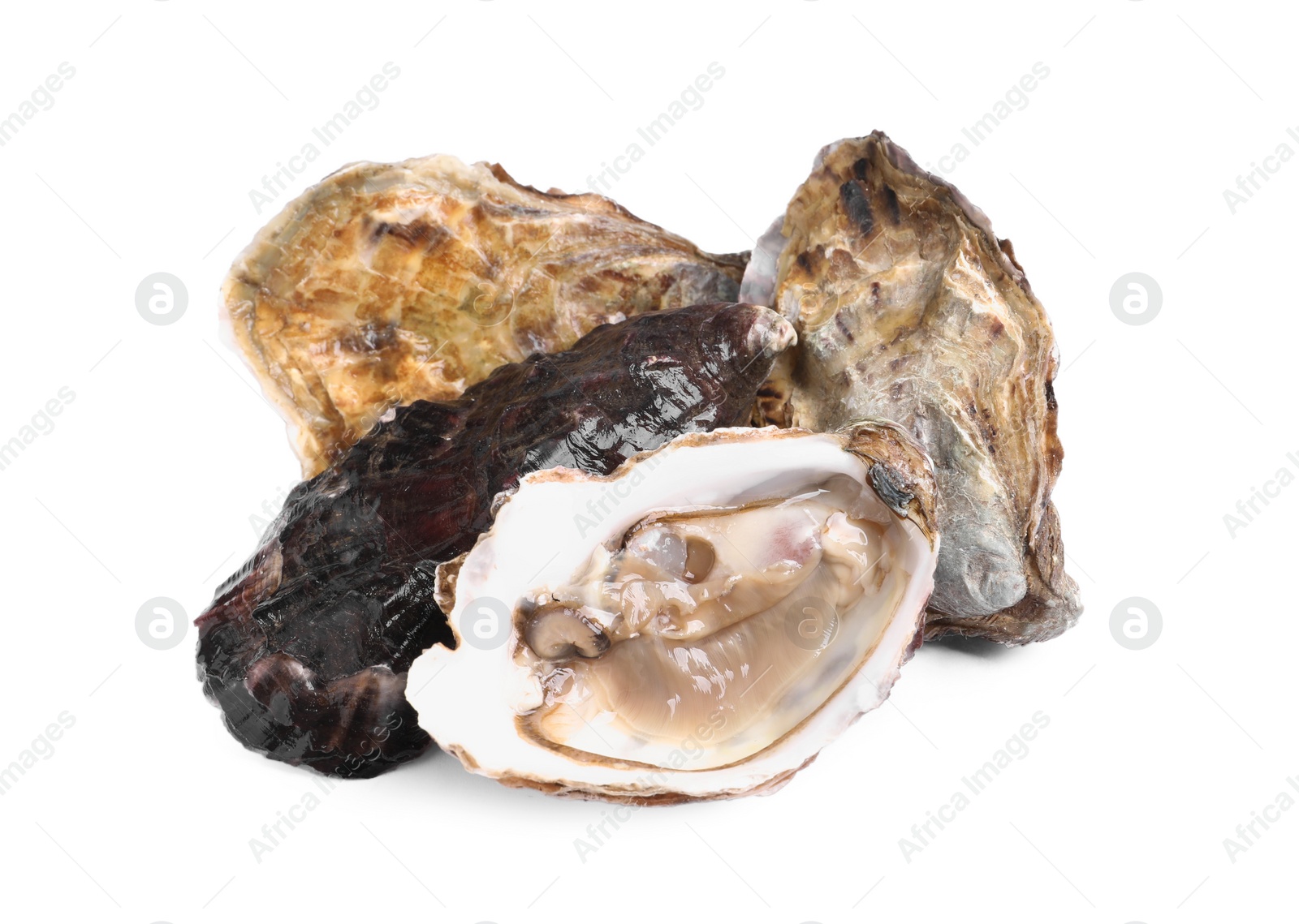 Photo of Fresh raw closed and open oysters on white background