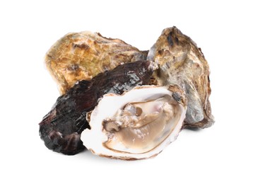 Photo of Fresh raw closed and open oysters on white background