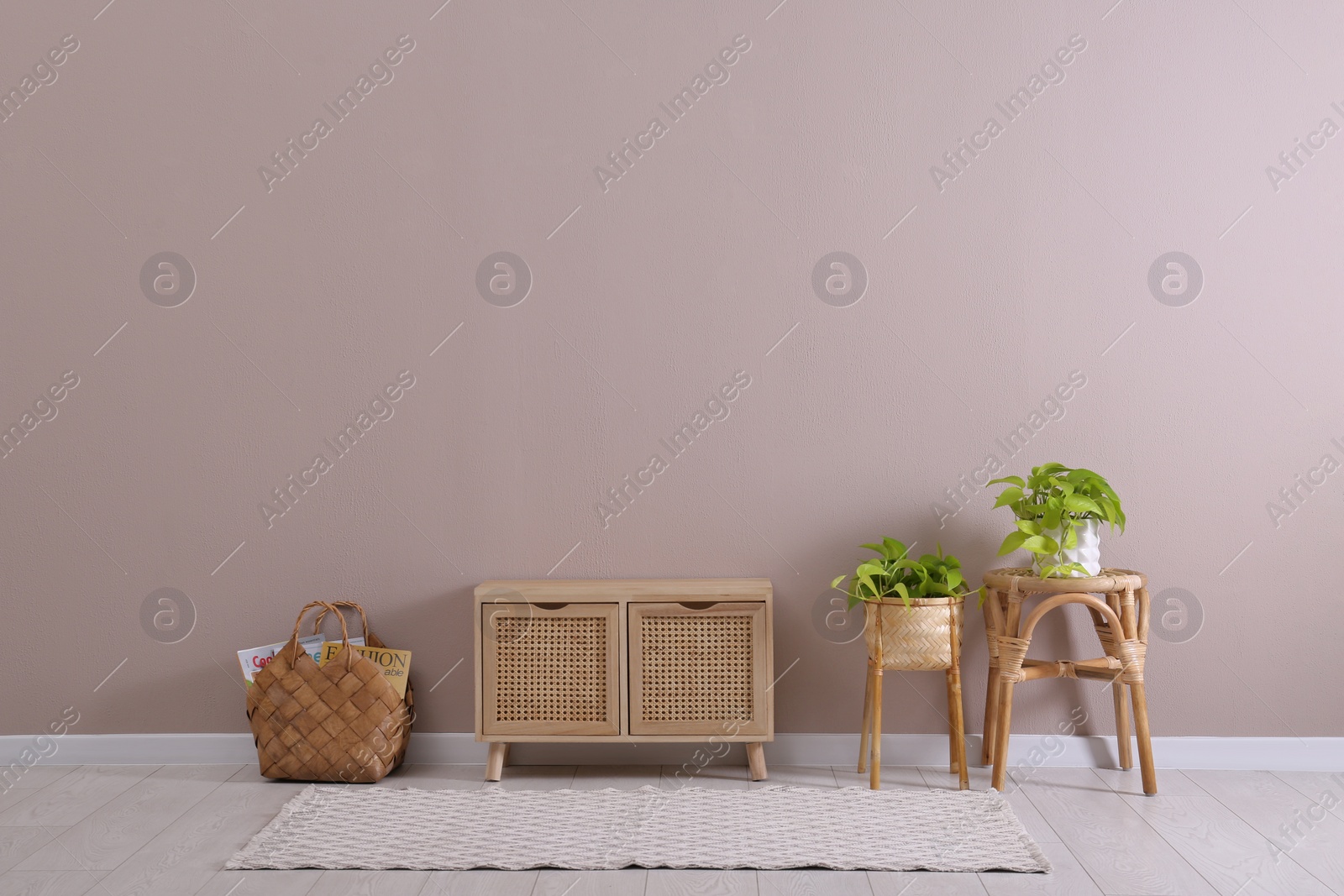 Photo of Elegant room interior with wooden cabinet and beautiful houseplants near beige wall. Space for text