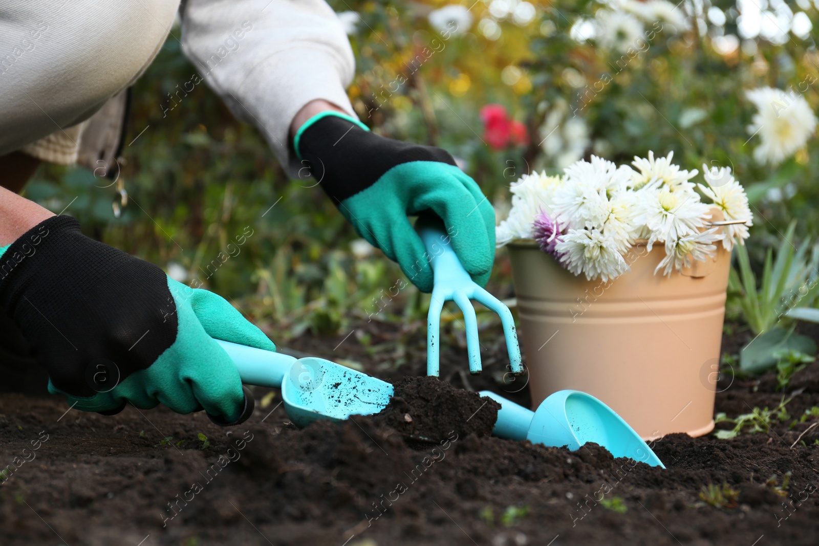 Photo of Woman in gardening gloves preparing soil for flowers transplanting outdoors, closeup