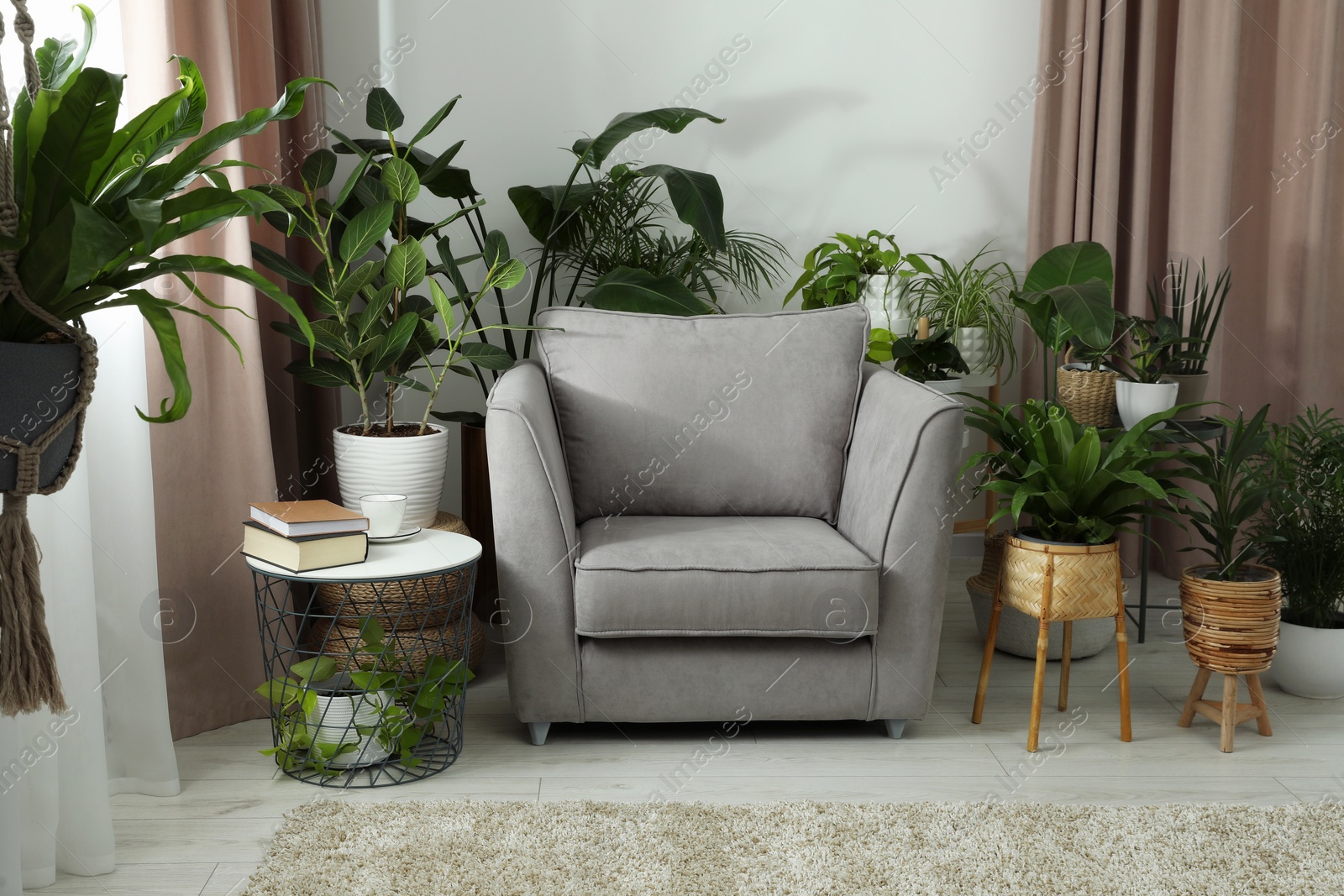 Photo of Stylish room with comfortable armchair and beautiful houseplants. Interior design