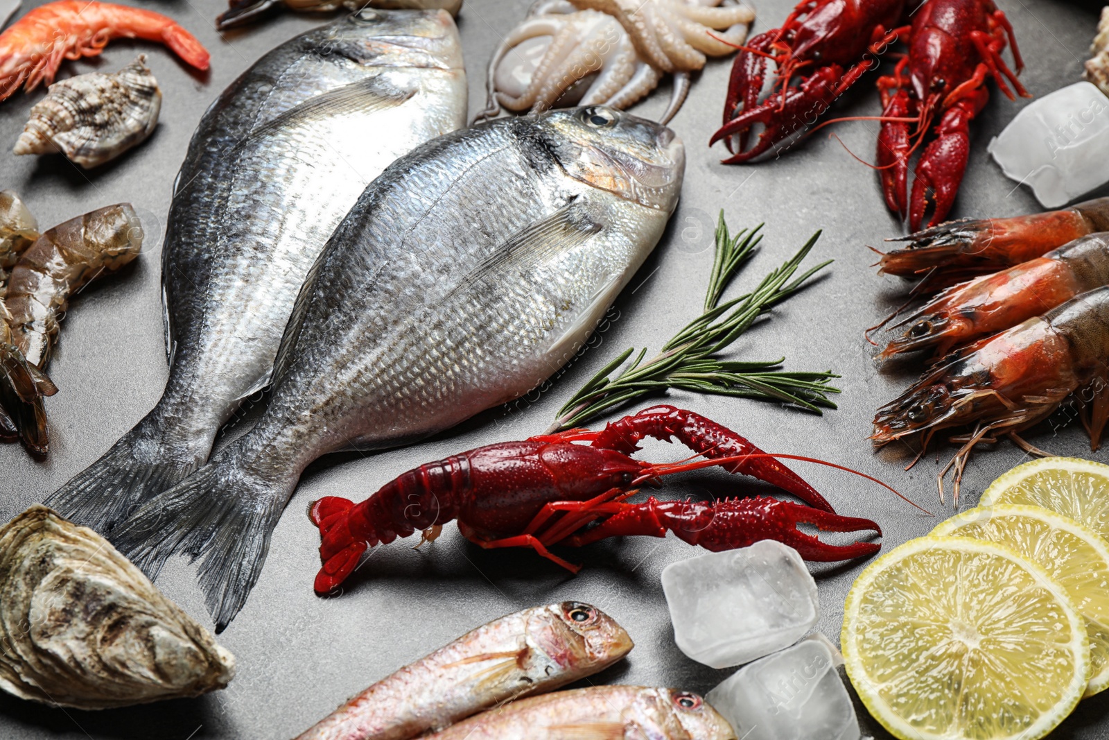 Photo of Fresh fish and different seafood on grey table