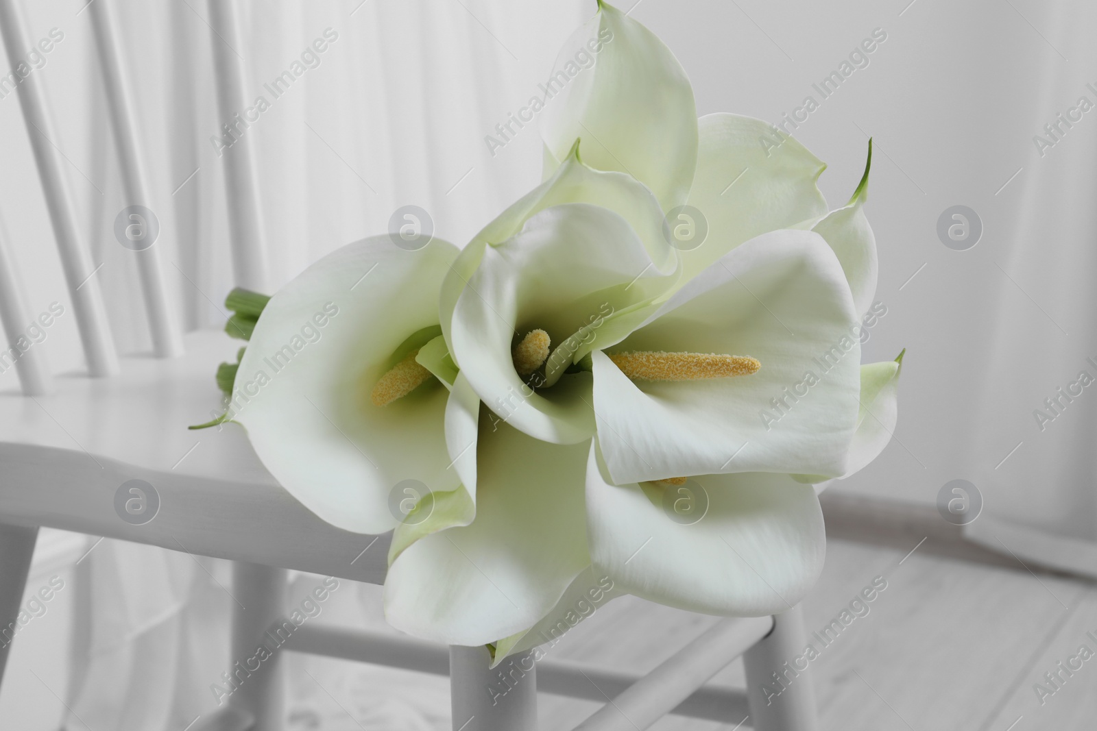 Photo of Beautiful calla lily flowers on white chair indoors, closeup