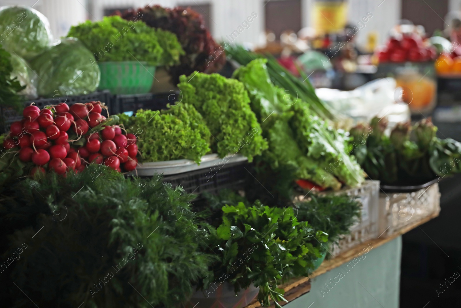 Photo of Fresh ripe vegetables and herbs on counter at wholesale market