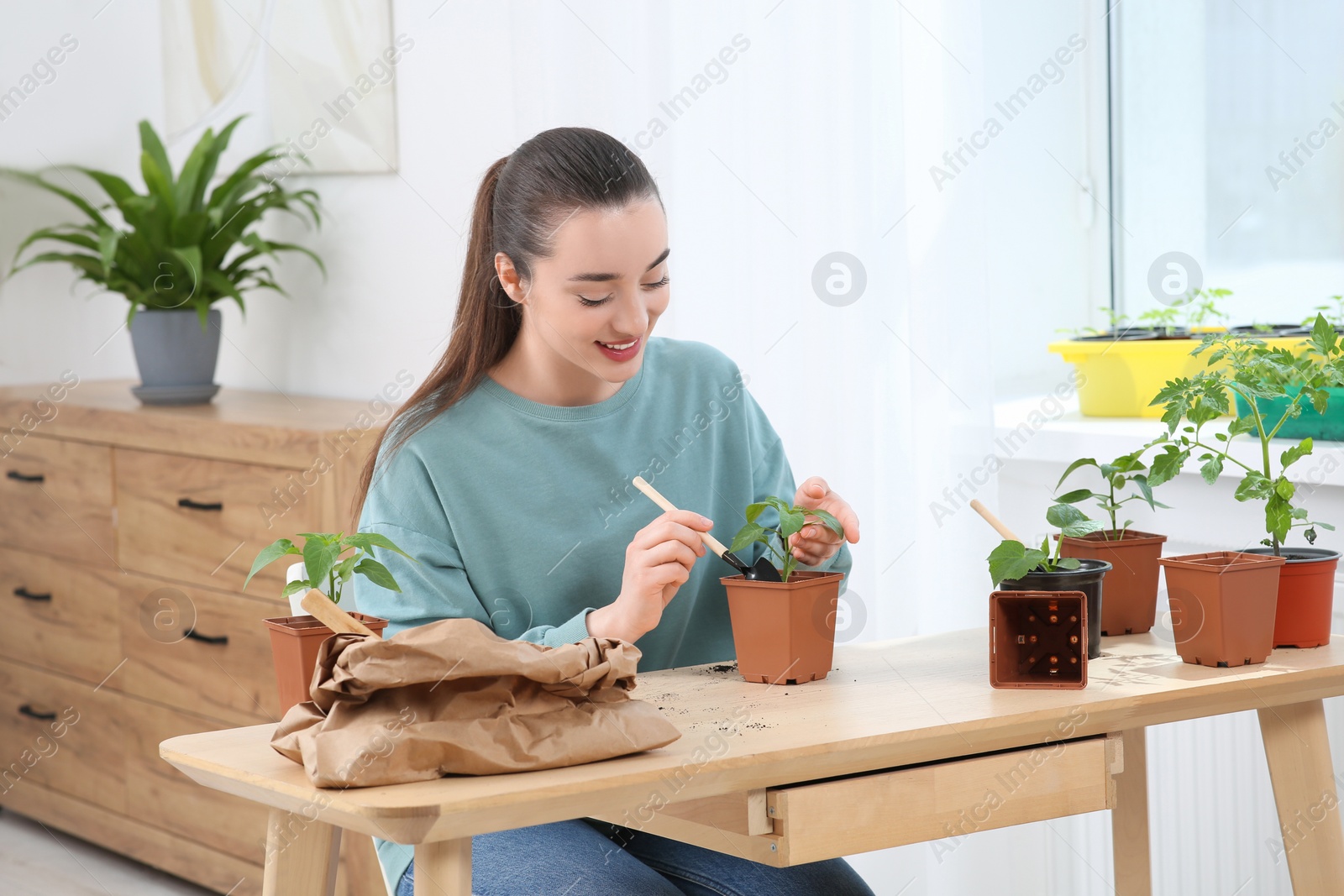 Photo of Happy woman planting seedling into pot at wooden table in room