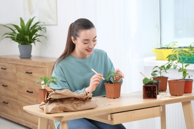 Happy woman planting seedling into pot at wooden table in room