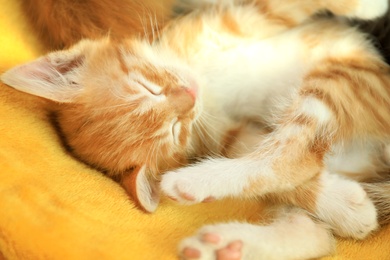 Photo of Cute little red kitten sleeping on yellow blanket