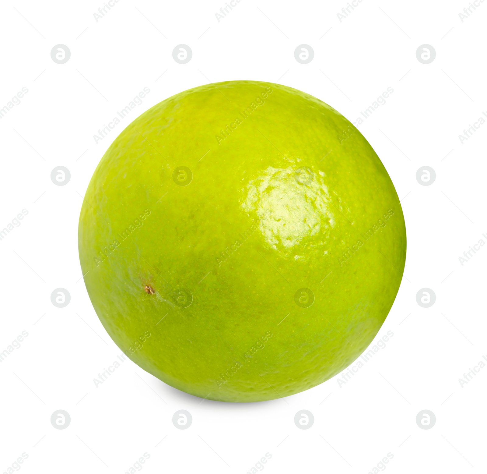 Photo of Citrus fruit. One fresh lime isolated on white