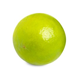 Photo of Citrus fruit. One fresh lime isolated on white