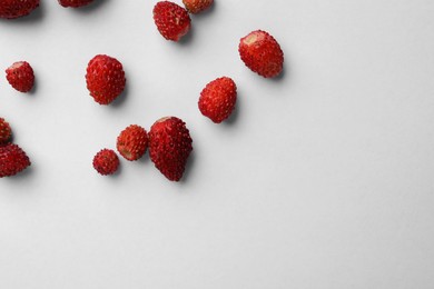 Photo of Many fresh wild strawberries on white background, flat lay. Space for text