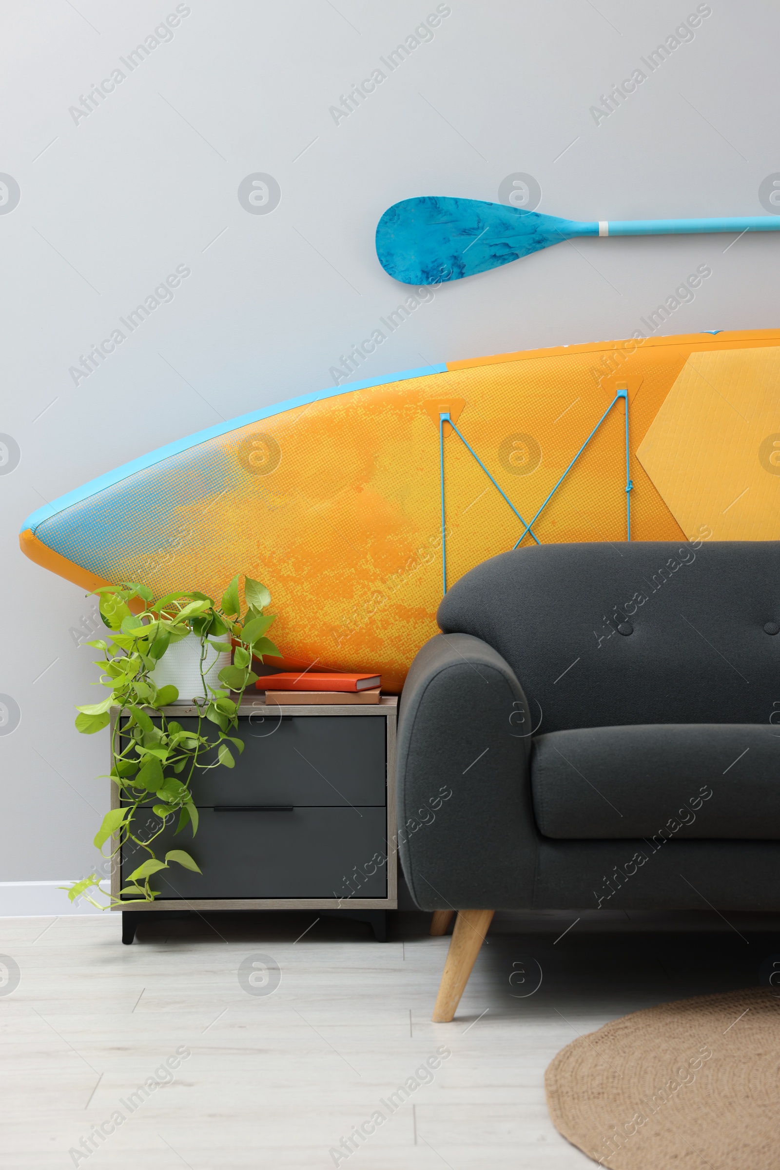 Photo of SUP board, paddle and stylish sofa in living room. Interior design