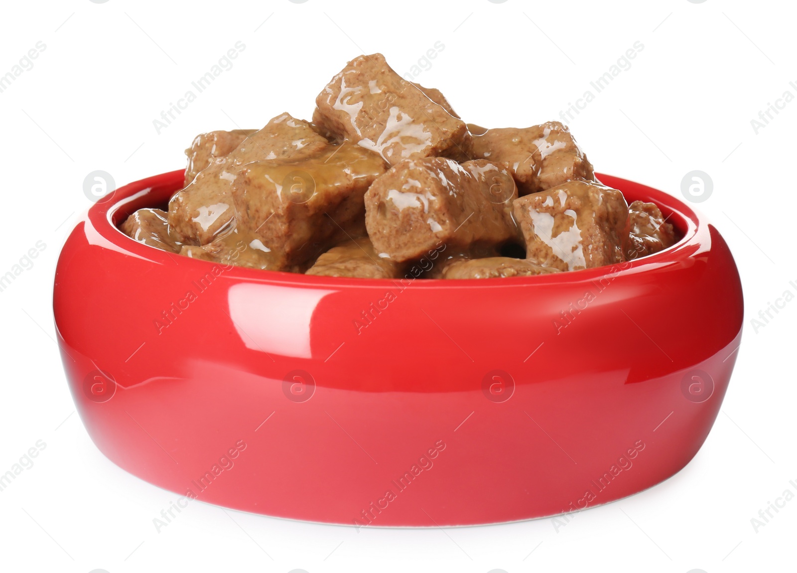 Photo of Wet pet food in feeding bowl isolated on white