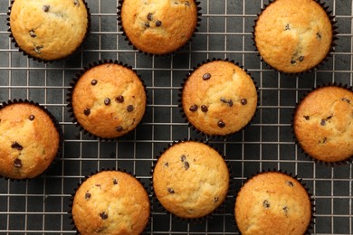 Photo of Delicious freshly baked muffins with chocolate chips on gray table, top view