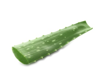 Photo of Aloe vera leaf on white background