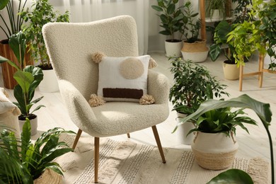 Photo of Relaxing atmosphere. Many different potted houseplants around stylish armchair in room