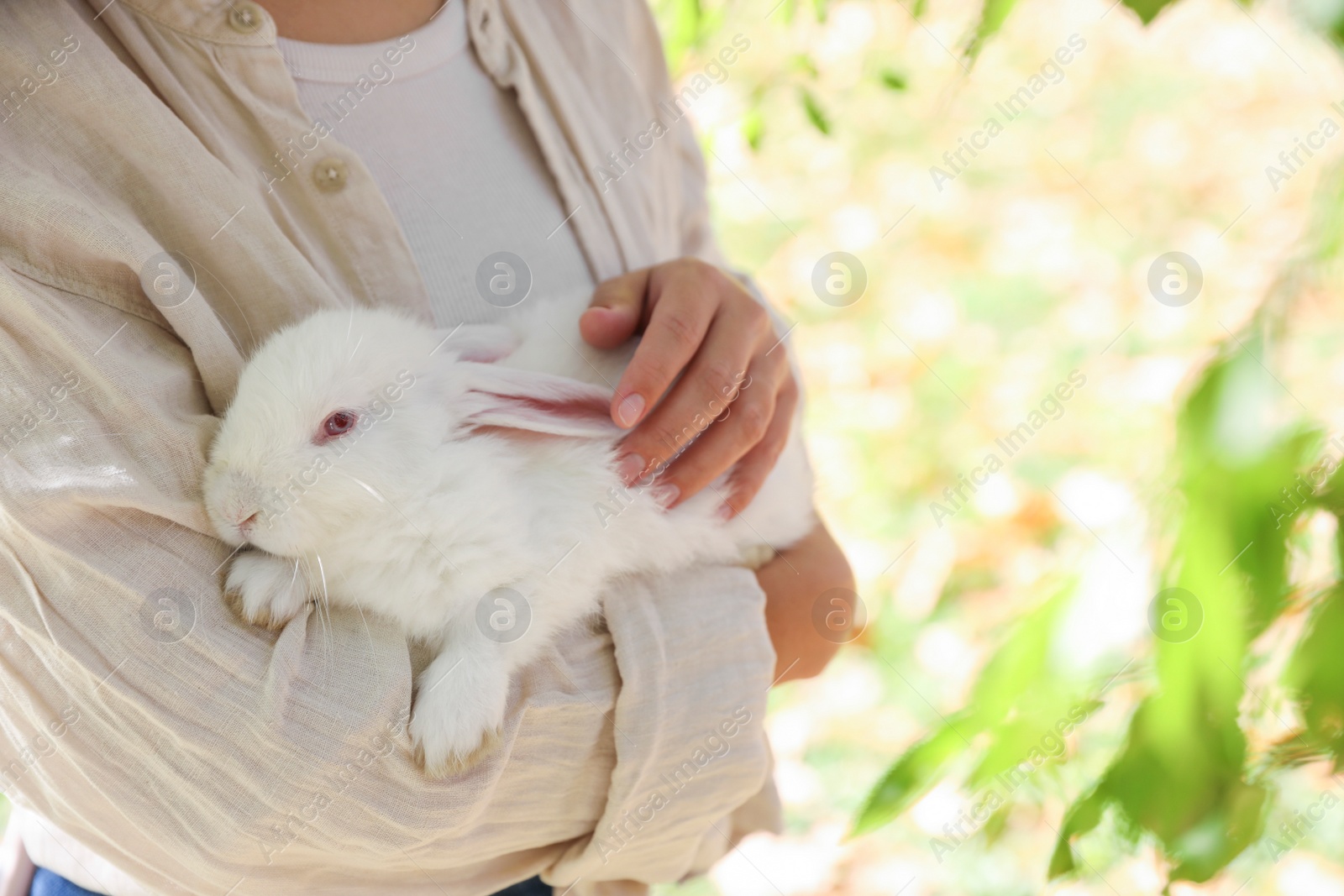 Photo of Woman holding cute white rabbit outdoors, closeup