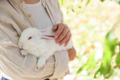 Woman holding cute white rabbit outdoors, closeup