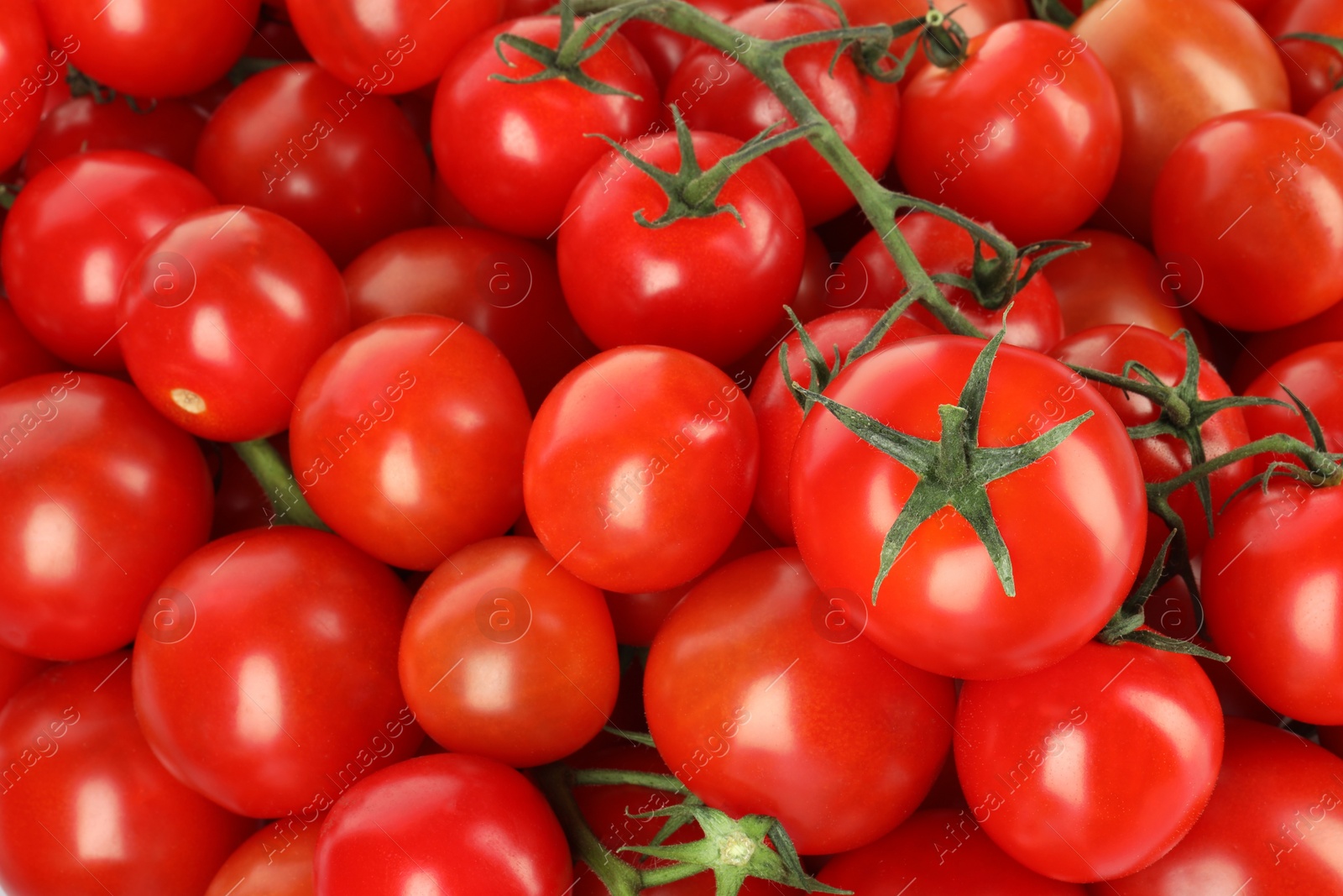 Photo of Many fresh ripe cherry tomatoes as background, top view