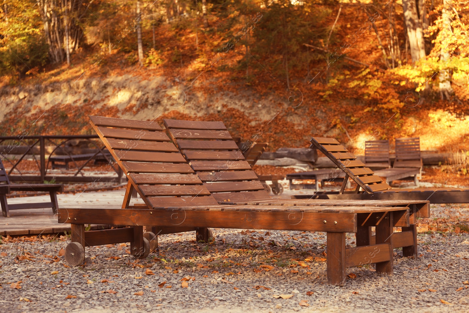 Photo of Resort with wooden sunbeds near forest on sunny autumn day