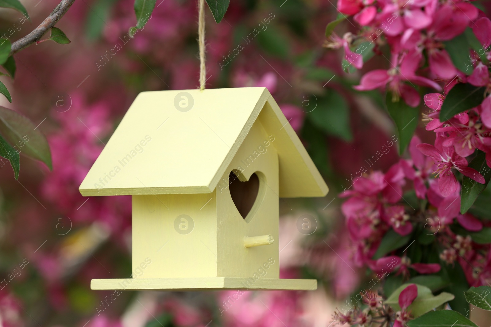 Photo of Wooden bird house on blossoming tree outdoors