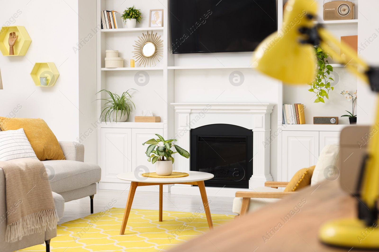 Photo of Spring interior. Cozy furniture with potted plants in stylish room