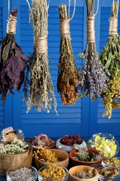 Photo of Many different herbs and flowers on blue wooden background