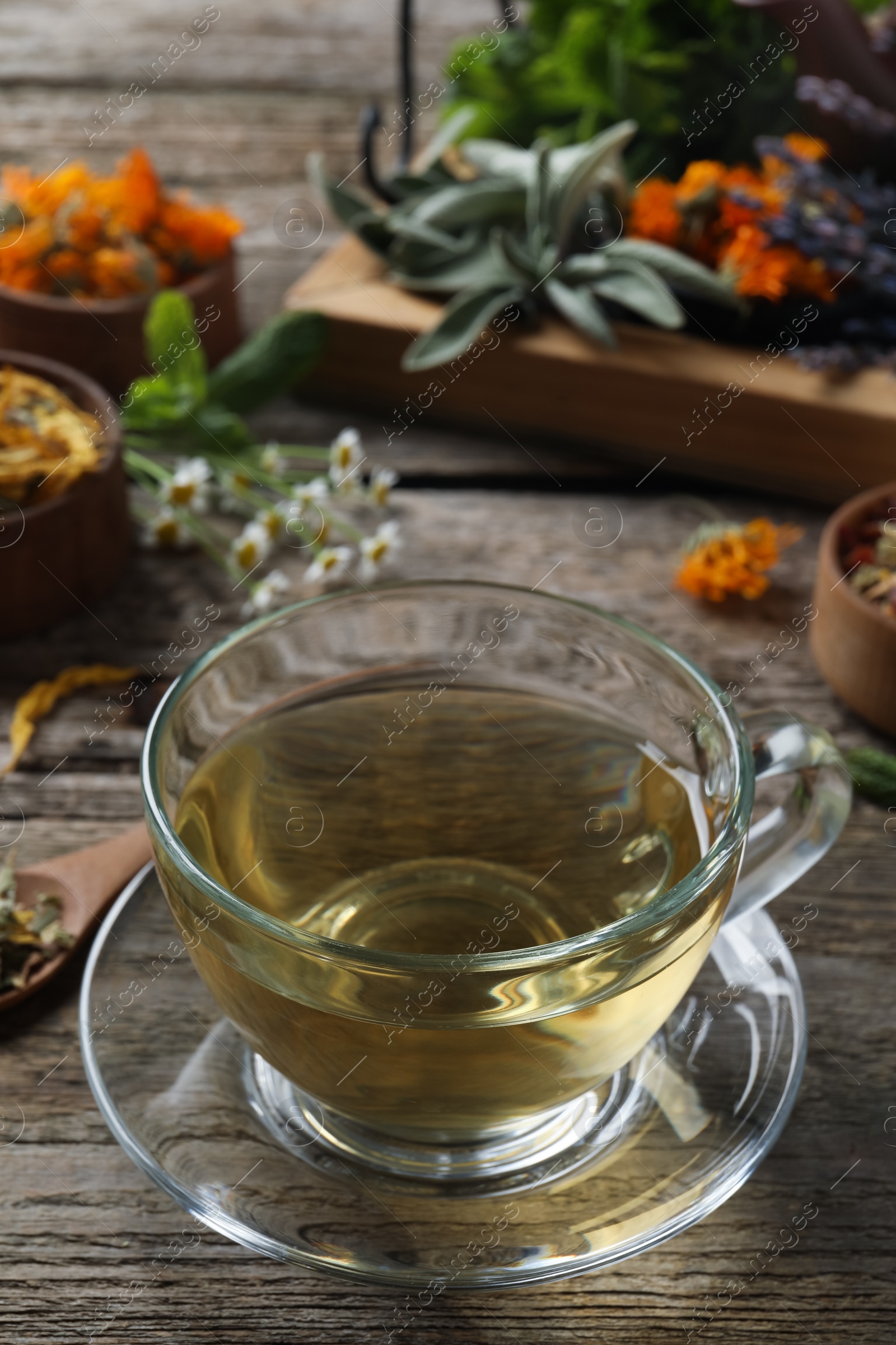 Photo of Glass cup of aromatic freshly brewed tea near different dry herbs on wooden table