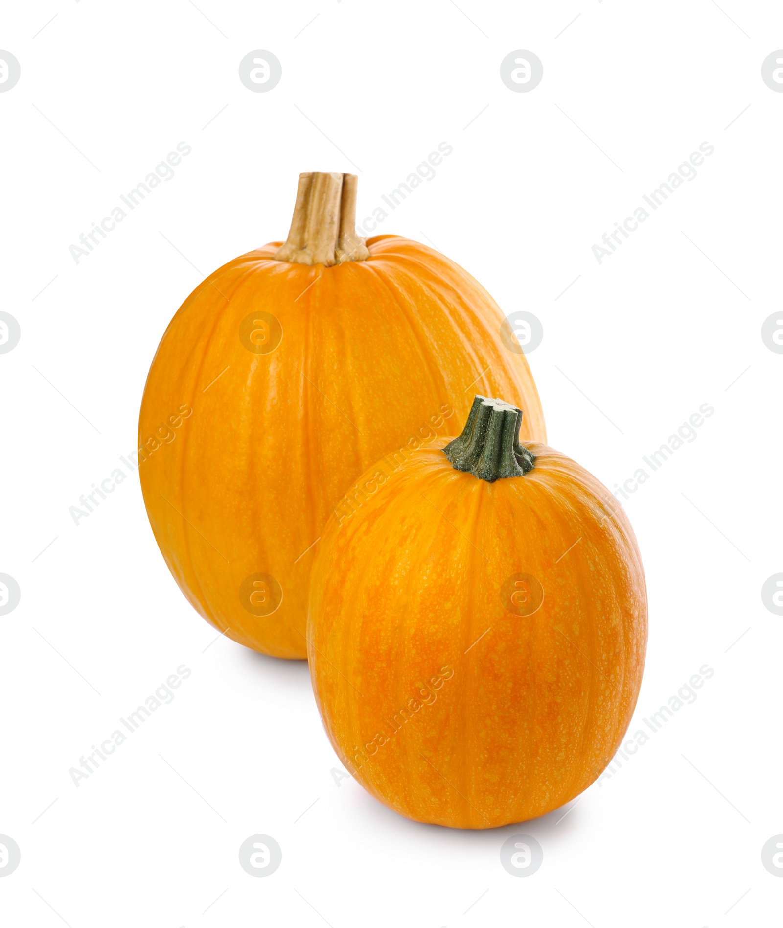 Photo of Fresh ripe orange pumpkins on white background