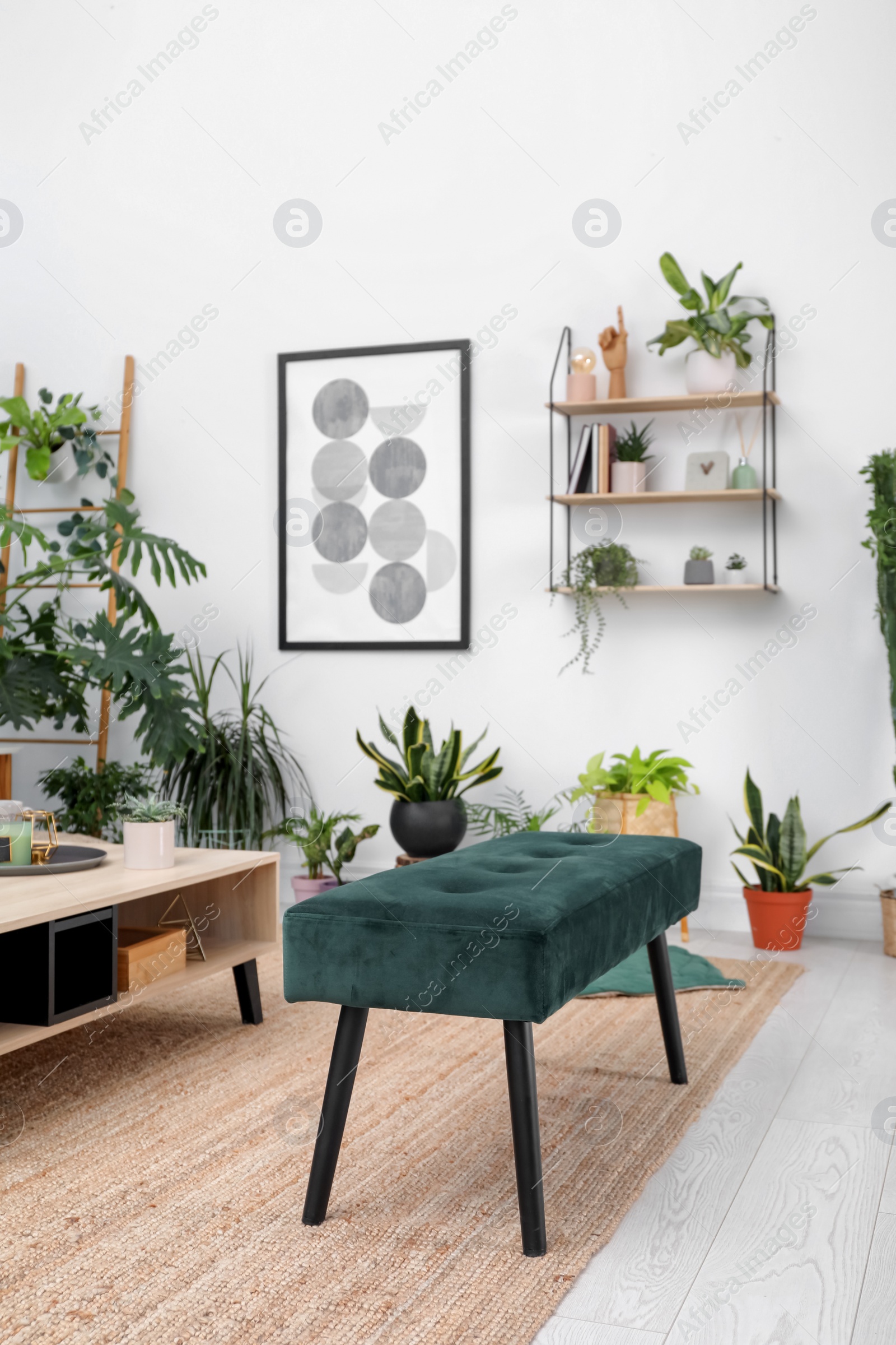 Photo of Living room interior with modern furniture and houseplants