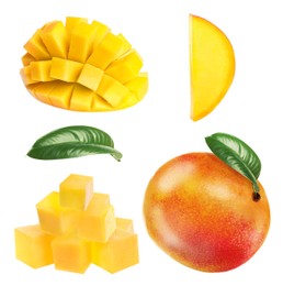 Image of Set with delicious ripe mangos on white background