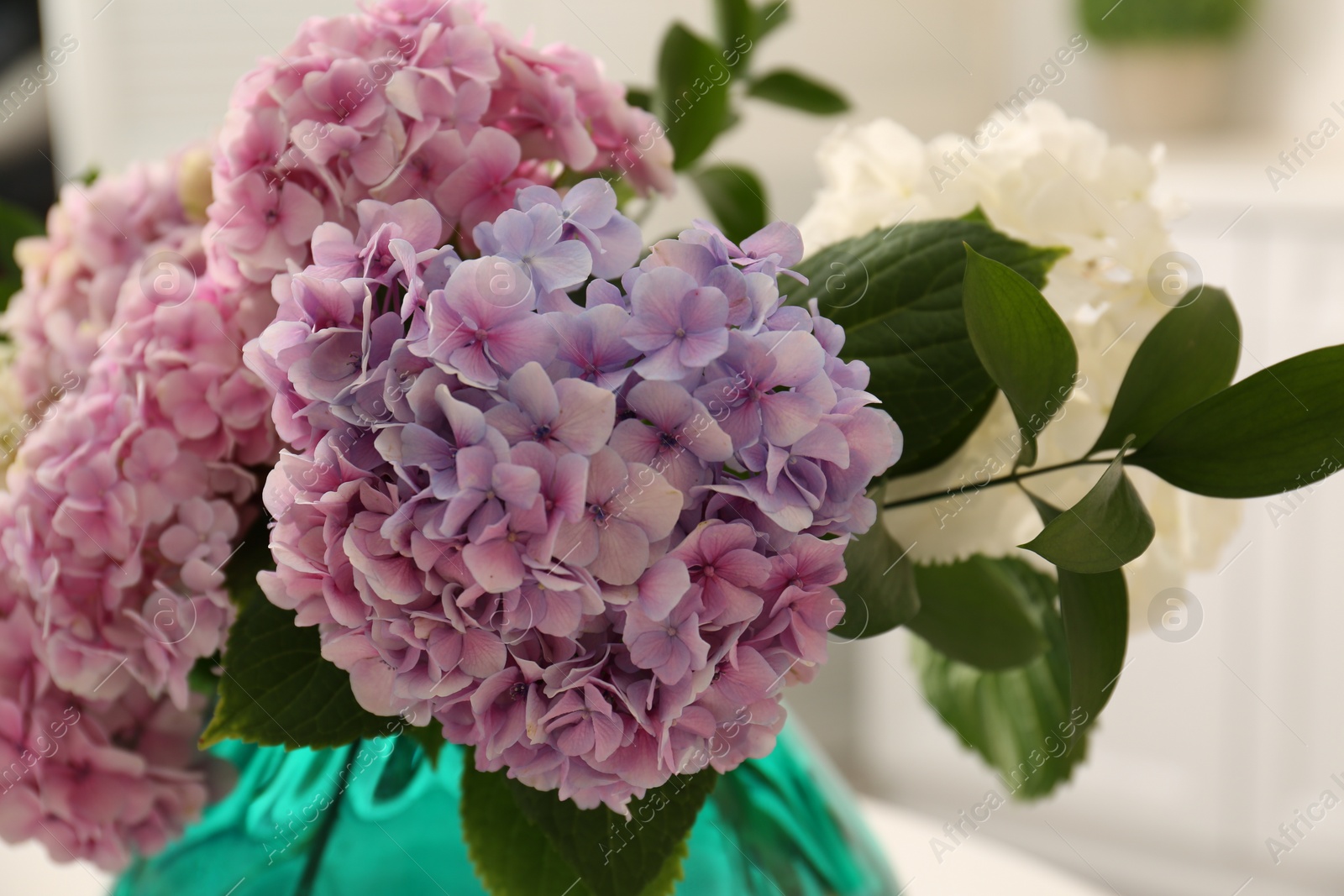 Photo of Bouquet of beautiful hydrangea flowers in vase indoors, closeup