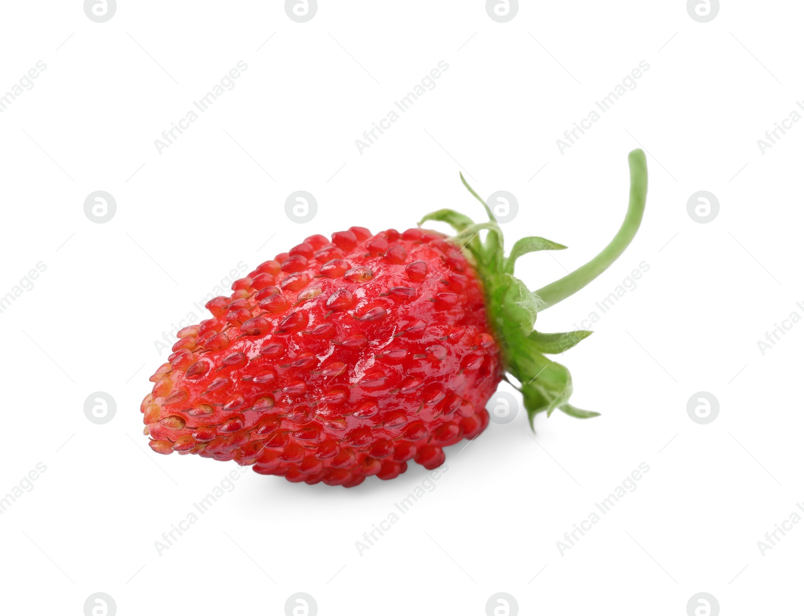 Photo of One ripe wild strawberry isolated on white