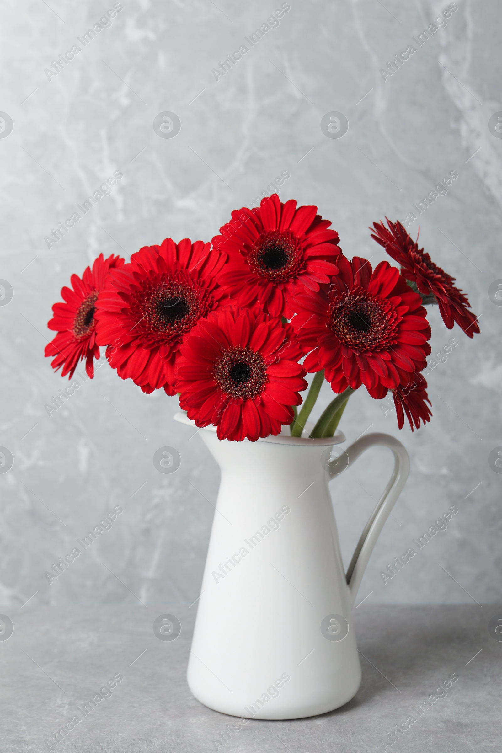 Photo of Bouquet of beautiful red gerbera flowers in ceramic jug on light grey background