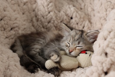 Photo of Cute fluffy kitten with toy sleeping on soft plaid