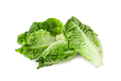 Photo of Fresh green romaine lettuces isolated on white