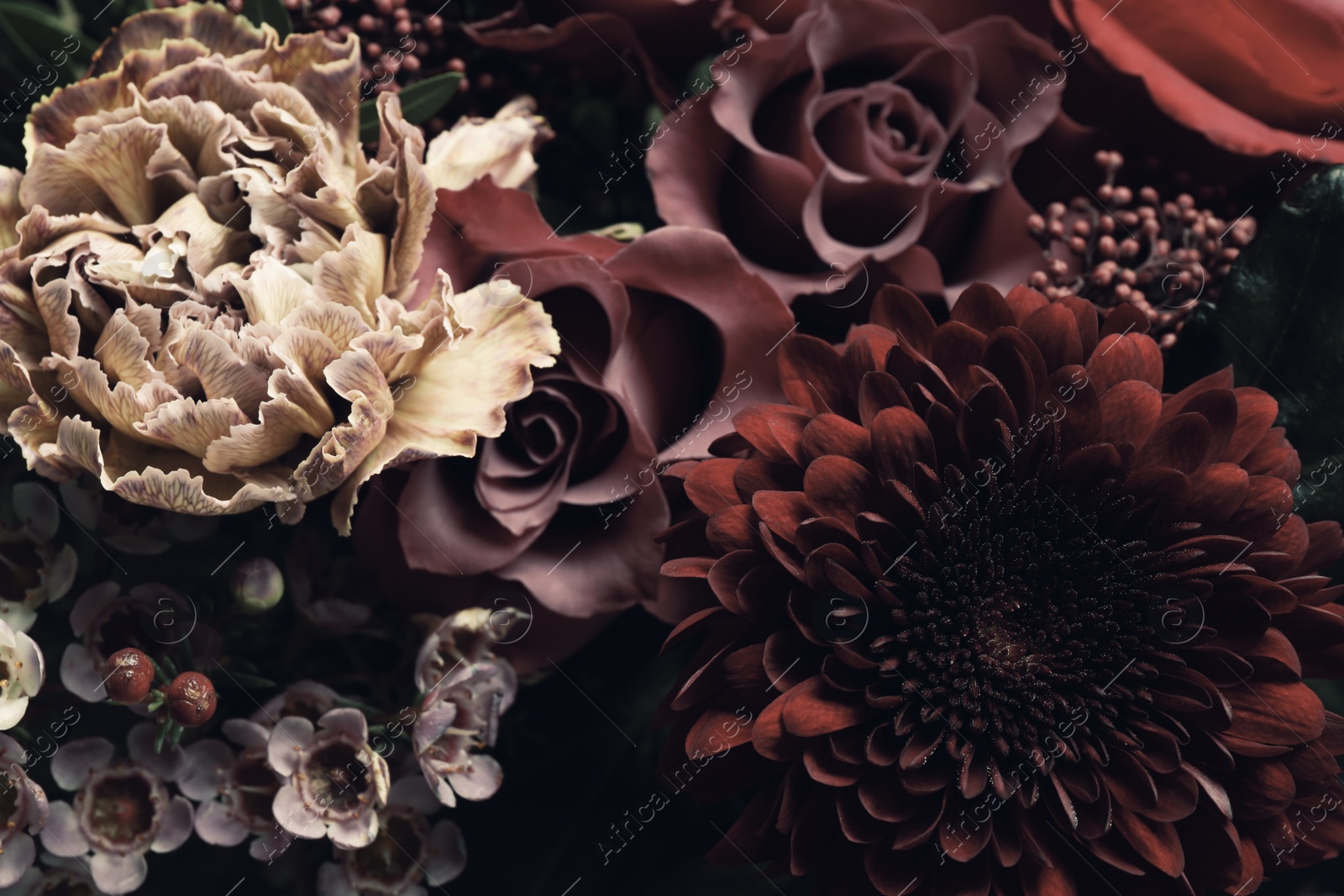 Photo of Beautiful bouquet of different flowers, closeup. Floral card design with dark vintage effect