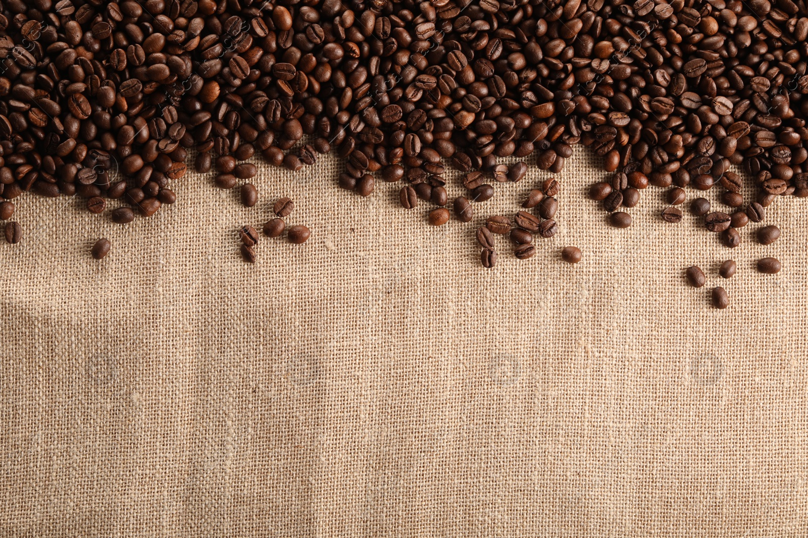 Photo of Many coffee beans on burlap fabric, top view. Space for text