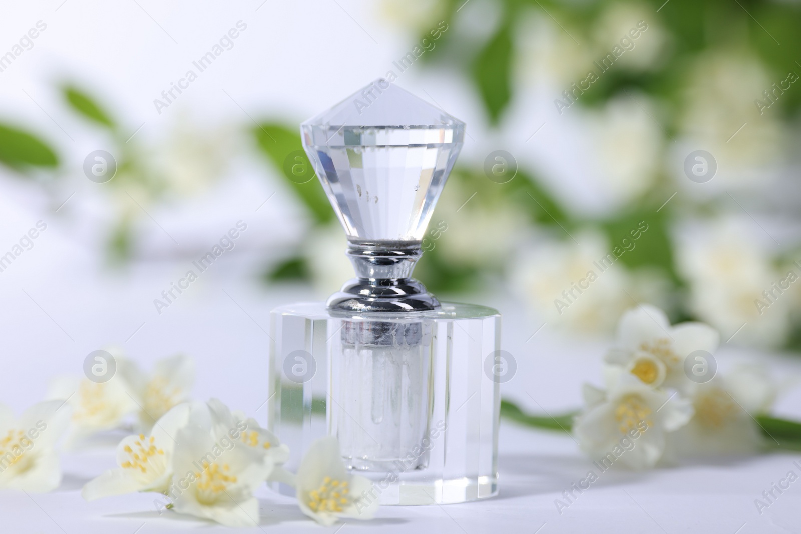 Photo of Aromatic perfume in bottle and beautiful jasmine flowers on white background, closeup