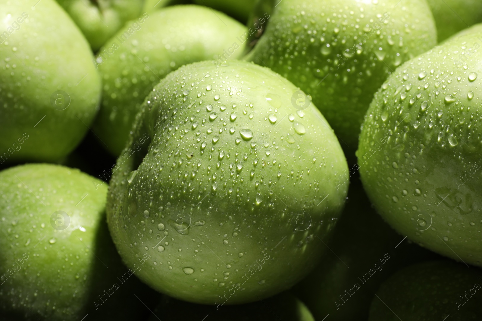 Photo of Fresh green apples with water drops as background, closeup