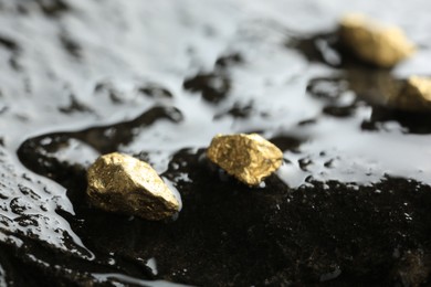 Shiny gold nuggets on wet stone, closeup