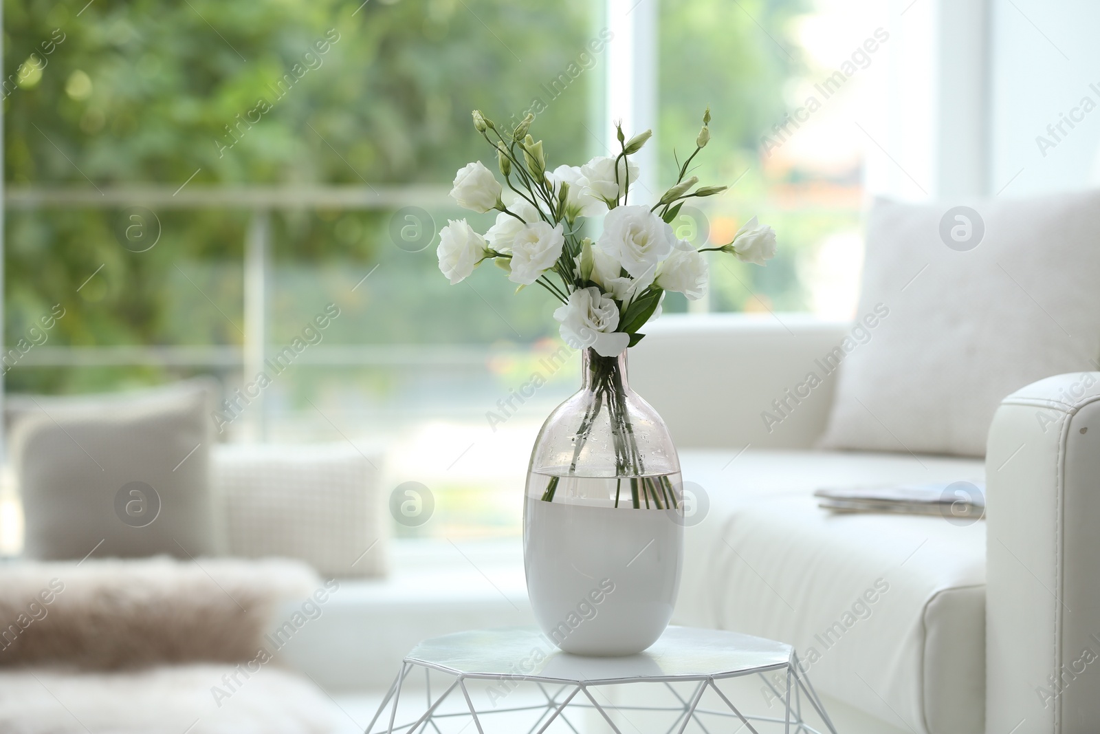 Photo of Vase with fresh flowers on white table in living room