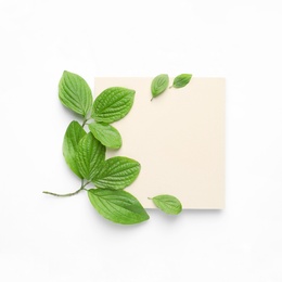 Photo of Blank card and spring green leaves on white background, top view. Space for text