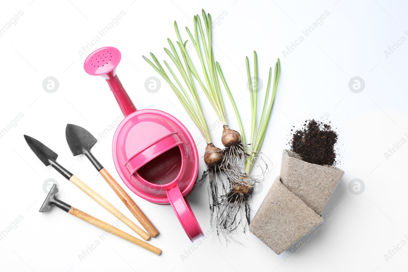 Photo of Composition with gardening equipment on white background, top view