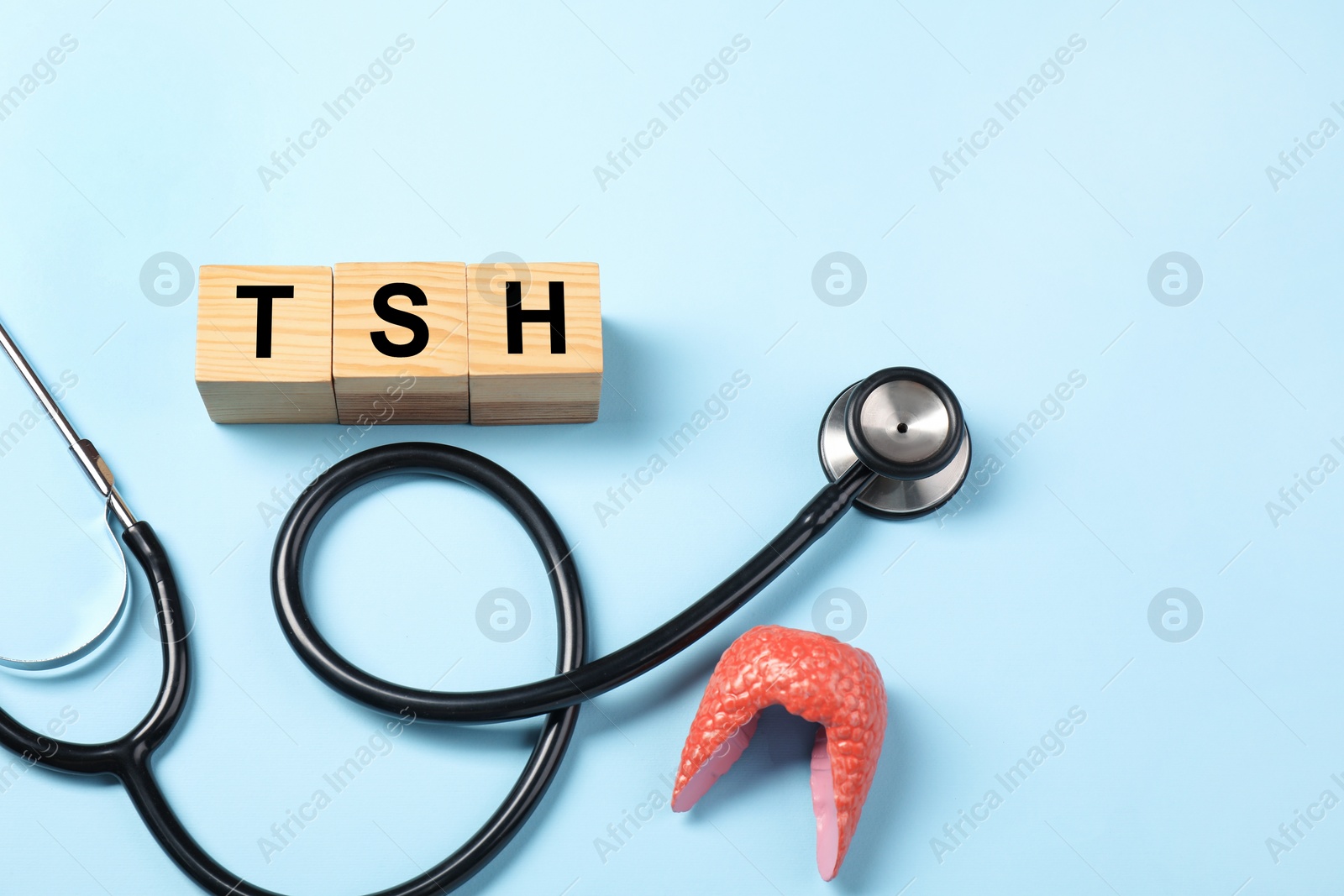 Photo of Endocrinology. Stethoscope, wooden cubes with thyroid hormones and model of gland on light blue background