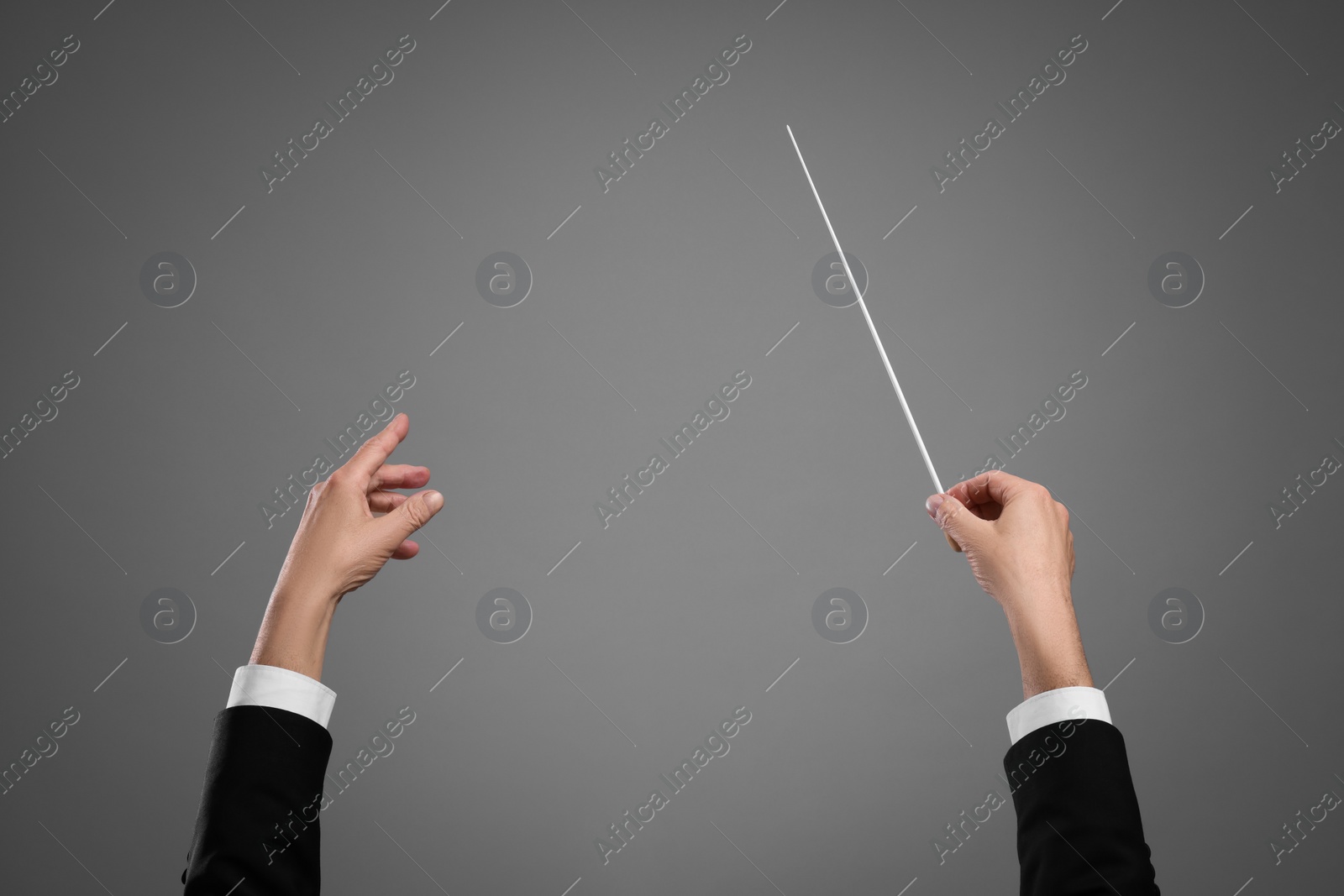 Photo of Professional conductor with baton on grey background, closeup