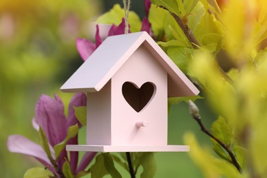Photo of Pink bird house on blooming magnolia tree outdoors