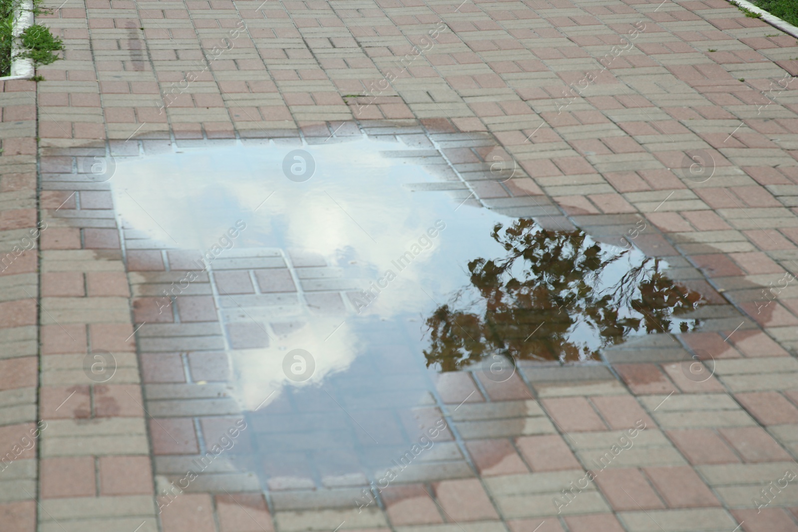 Photo of Puddle after rain on street tiles outdoors