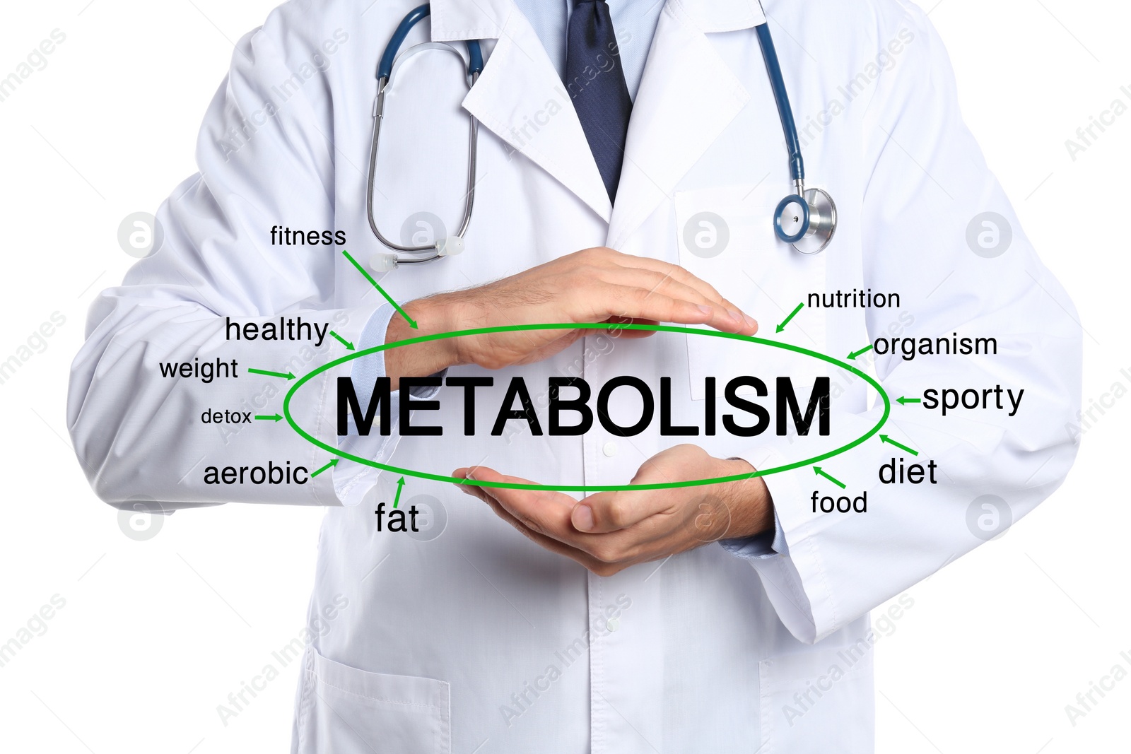 Image of Metabolism concept. Doctor presenting scheme on white background, closeup