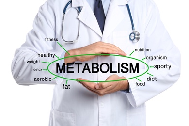 Image of Metabolism concept. Doctor presenting scheme on white background, closeup